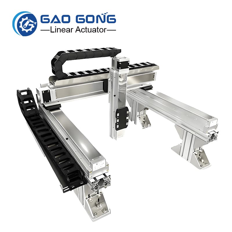 Custom XYZ Gantry Robot